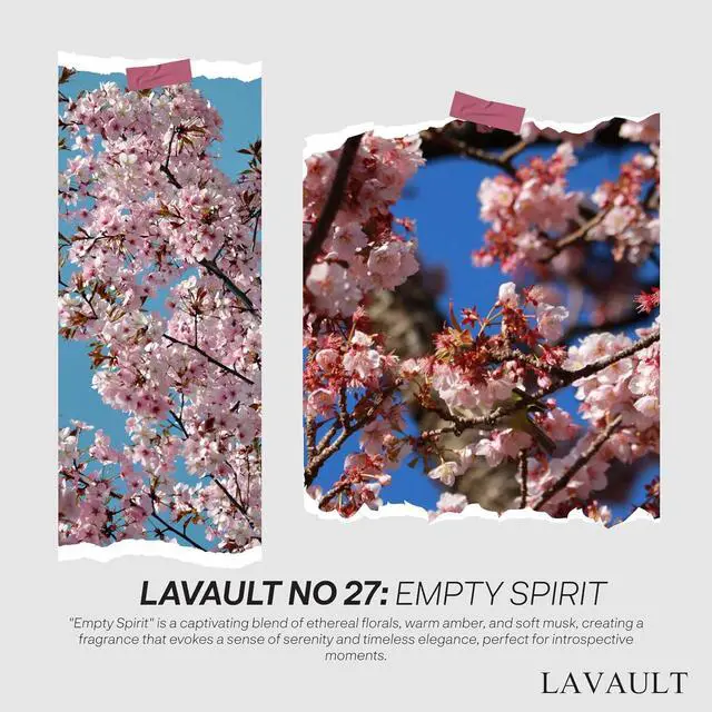 Alt view image 5 of 7 - Lavault Reed Diffusers for Home - Greenwhite Ornaments - 100% Natural Materials - Long-Lasting Fragrance - Relaxing Atmosphere, Easy-to-Use & Eco-Friendly, Reusable Glass Bottle Empty Spirit Aroma