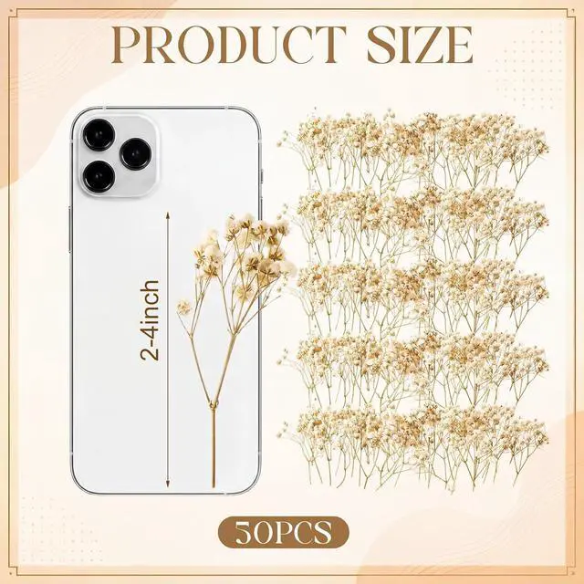 Alt view image 2 of 7 - Fumete 50 Pcs Mini Dried Baby Breath Flowers Dried Flowers for Wedding