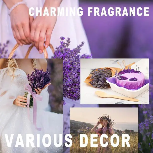 Alt view image 7 of 7 - 350 Stems 2 Bundles Dried Lavender Flowers, 17" Natural Purple Flowers Bouquet, 4.24oz(120g) Dried Lavender Stems for Wedding Home Fragrance Vase Crafts Decor DIY Projects
