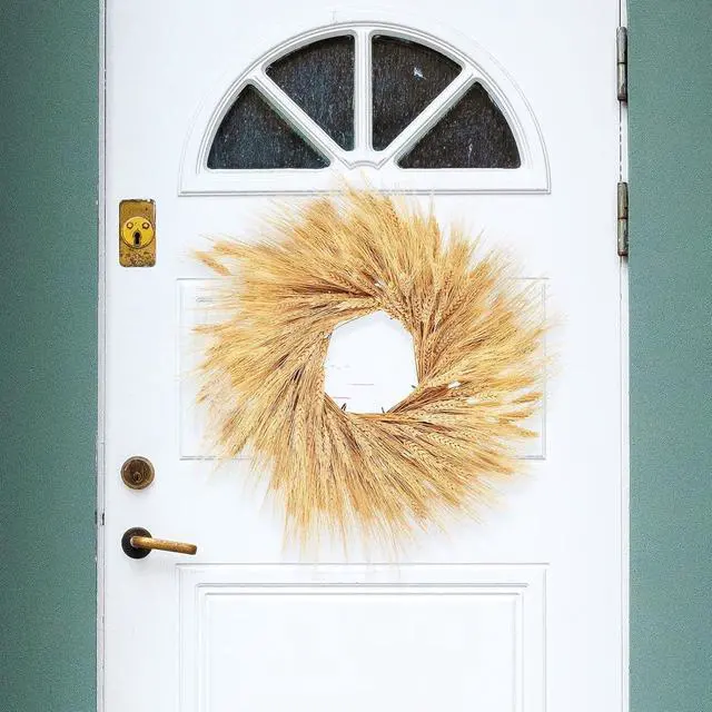 Alt view image 3 of 7 - Uieke 17.7 Inches Dried Wheat Stalks, 100 Stems Dried Flowers 100% Natural Wheat for Home Kitchen Wedding Party Table Centerpiece Harvest Wreath Boho Farmhouse DIY Decoration
