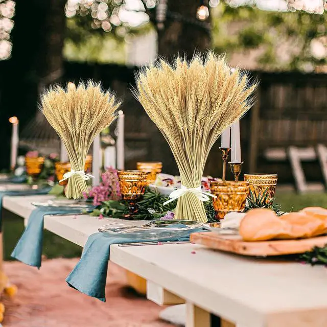 Alt view image 4 of 7 - Uieke 17.7 Inches Dried Wheat Stalks, 100 Stems Dried Flowers 100% Natural Wheat for Home Kitchen Wedding Party Table Centerpiece Harvest Wreath Boho Farmhouse DIY Decoration