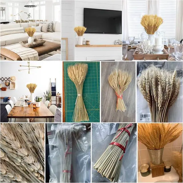 Alt view image 5 of 7 - Uieke 17.7 Inches Dried Wheat Stalks, 100 Stems Dried Flowers 100% Natural Wheat for Home Kitchen Wedding Party Table Centerpiece Harvest Wreath Boho Farmhouse DIY Decoration