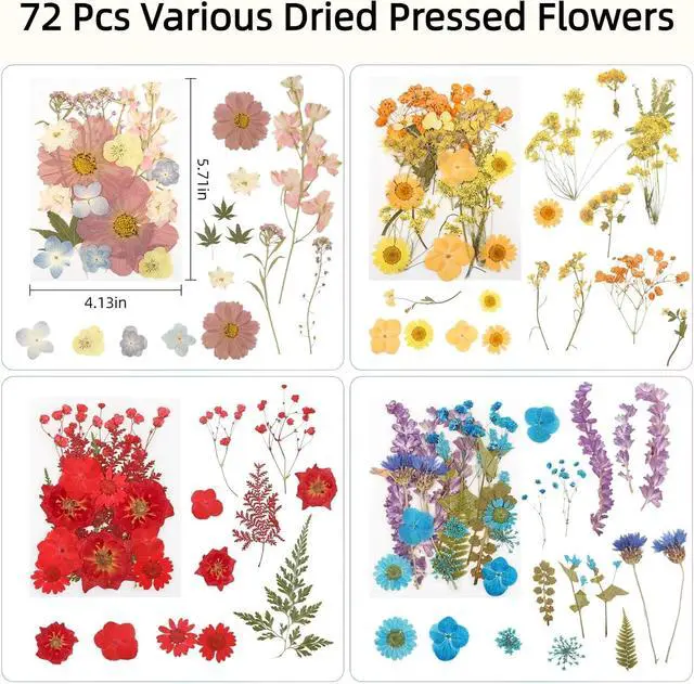 Alt view image 2 of 7 - 72Pcs Dried Pressed Flowers for Resin, Natural Dried Flowers for Crafts, Real Pressed Flowers Dry Leaves Bulk for Epoxy Resin Jewelry,Scrapbook,Picture Frame,Bookmarks,Candle & Soap Making