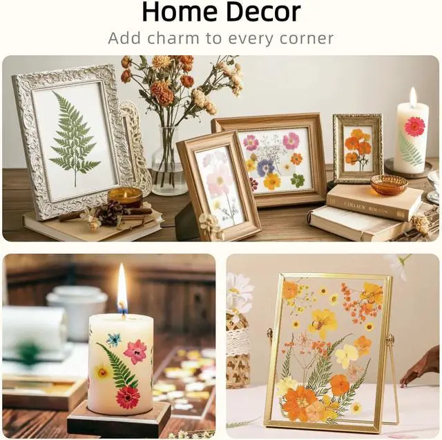 Alt view image 6 of 7 - 72Pcs Dried Pressed Flowers for Resin, Natural Dried Flowers for Crafts, Real Pressed Flowers Dry Leaves Bulk for Epoxy Resin Jewelry,Scrapbook,Picture Frame,Bookmarks,Candle & Soap Making