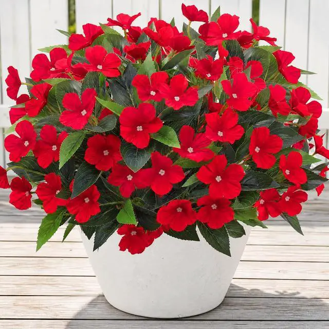 Main image of Roberly 6 Pcs Artificial Catharanthus Roseus Flowers for Outdoors, Red