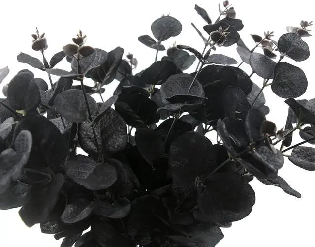 Alt view image 4 of 7 - Hananona 6 Pcs Artificial Black Eucalyptus Stems, 14" Eucalyptus Leaves Branches Bouquet for Flower Arrangement DIY, Black Silk Flowers for Home Halloween Farmhouse Decor (Black, 6)