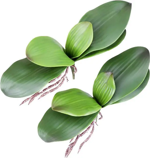 Main image of Fnize Orchid Leaves Artificial Phalaenopsis Stems Leaf Real Touch 8" 2pcs