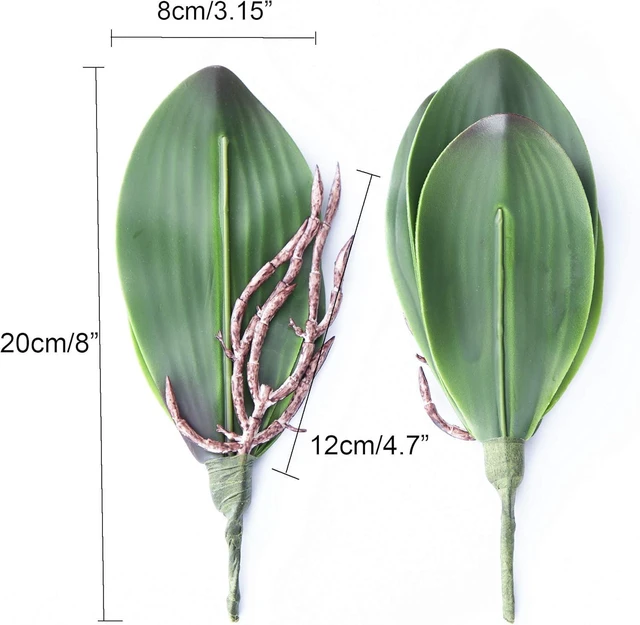 Alt view image 2 of 6 - Fnize Orchid Leaves Artificial Phalaenopsis Stems Leaf Real Touch 8" 2pcs