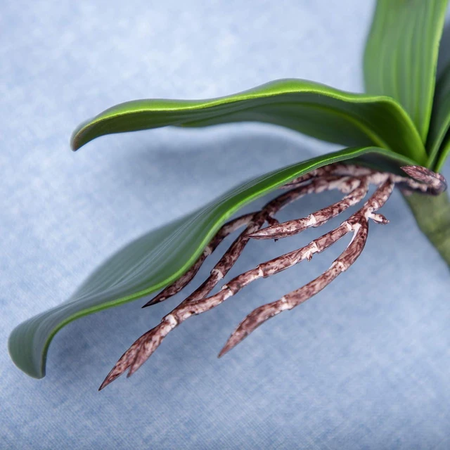Alt view image 3 of 6 - Fnize Orchid Leaves Artificial Phalaenopsis Stems Leaf Real Touch 8" 2pcs