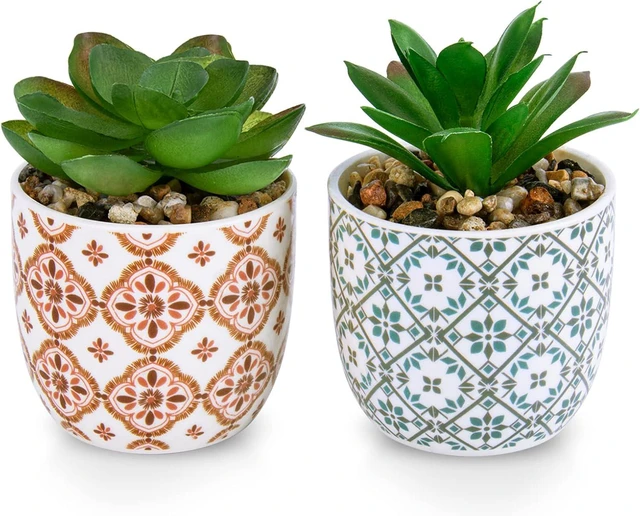 Main image of Artificial Plants Succulent Flowers in Ceramic Planter 2 Pack Small Fake Plants Potted for Home Office Desk Decor Farmhouse Living Room Bedroom Shelves Decoration