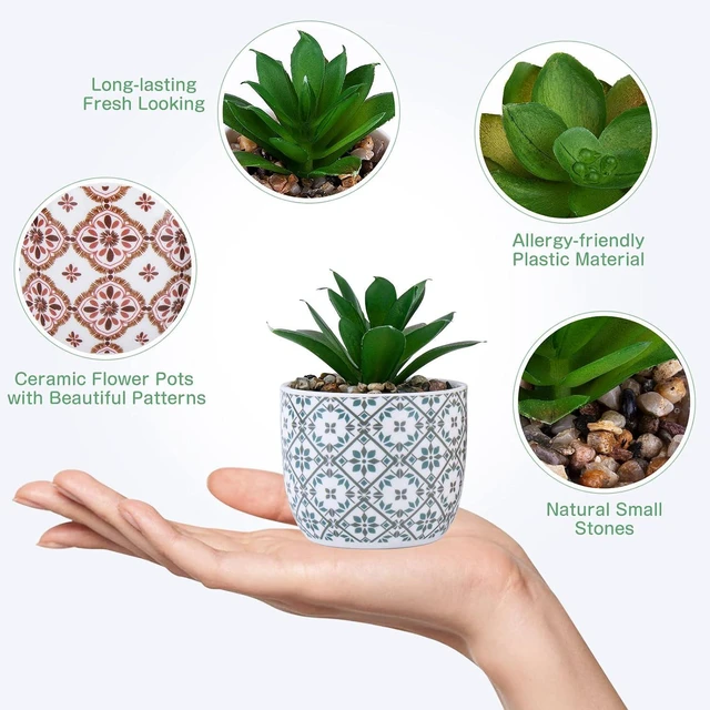 Alt view image 3 of 7 - Artificial Plants Succulent Flowers in Ceramic Planter 2 Pack Small Fake Plants Potted for Home Office Desk Decor Farmhouse Living Room Bedroom Shelves Decoration