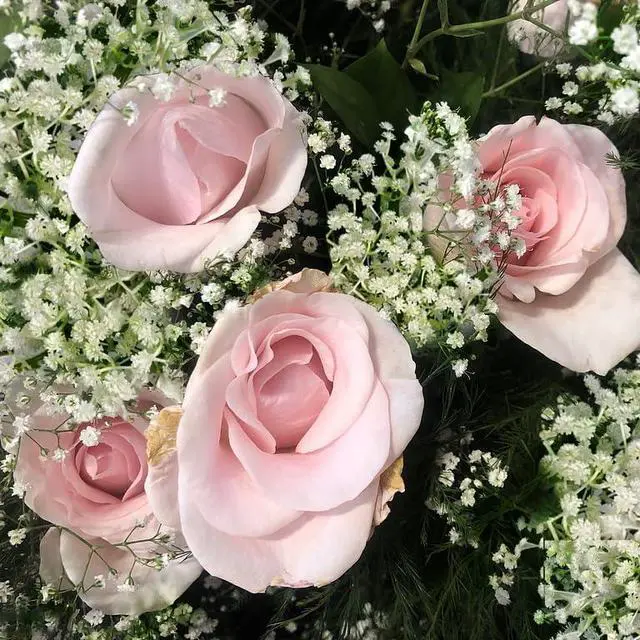 Alt view image 6 of 7 - Artificial Baby Breath Flowers Bulk, 20 Stems Faux Gypsophila for Wedding Bouquets, Bridal Decor, Home Decor Realistic Long-Lasting Fake Flowers, Bendable Stems, 2.8oz, 11.5 Inch White
