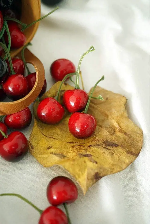 Alt view image 2 of 2 - Aliotech 26pcs Artificial Lifelike Simulation Small Red Black Cherries Fake Fruit Model Home House Kitchen Party Decoration Desk Ornament
