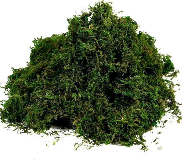 Main image of Artificial Moss Fake Green Grass for Centerpieces Home Kitchen Garden Decor (3.5OZ, Fresh)
