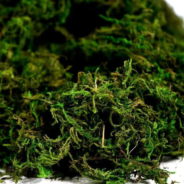 Alt view image 3 of 7 - Artificial Moss Fake Green Grass for Centerpieces Home Kitchen Garden Decor (3.5OZ, Fresh)