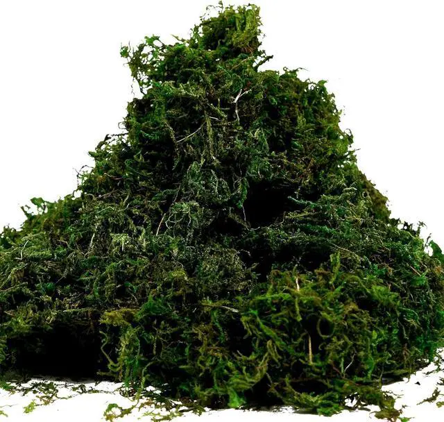 Alt view image 4 of 7 - Artificial Moss Fake Green Grass for Centerpieces Home Kitchen Garden Decor (3.5OZ, Fresh)