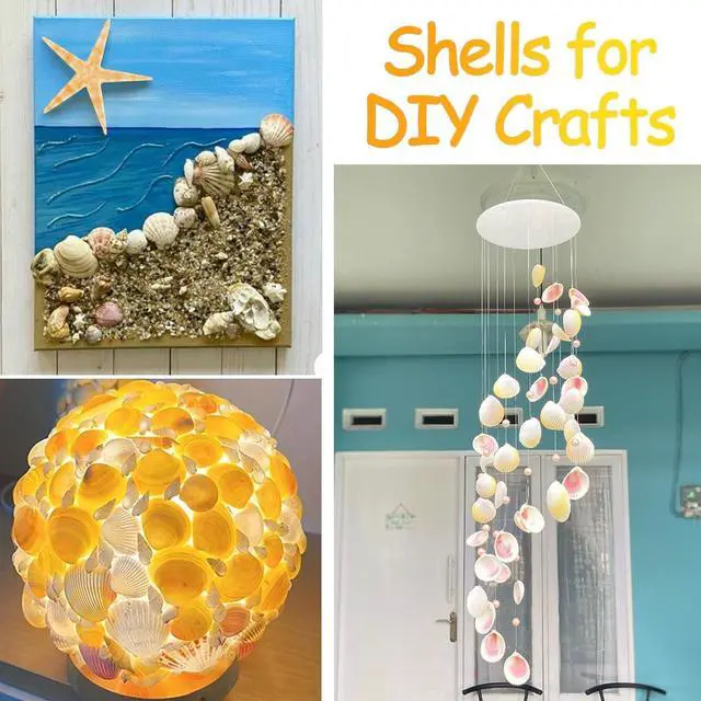 Alt view image 5 of 7 - MOWPOG 80+ Pcs Natural Seashells, Mixed Starfish Sea Shells for Crafts