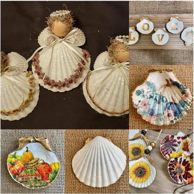 Alt view image 2 of 7 - SEAJIAYI 30 PCS Scallop Shells 2-3 Inch Natural White Sea Shells from Sea Beach for DIY Craft Home Décor(6-8 cm)