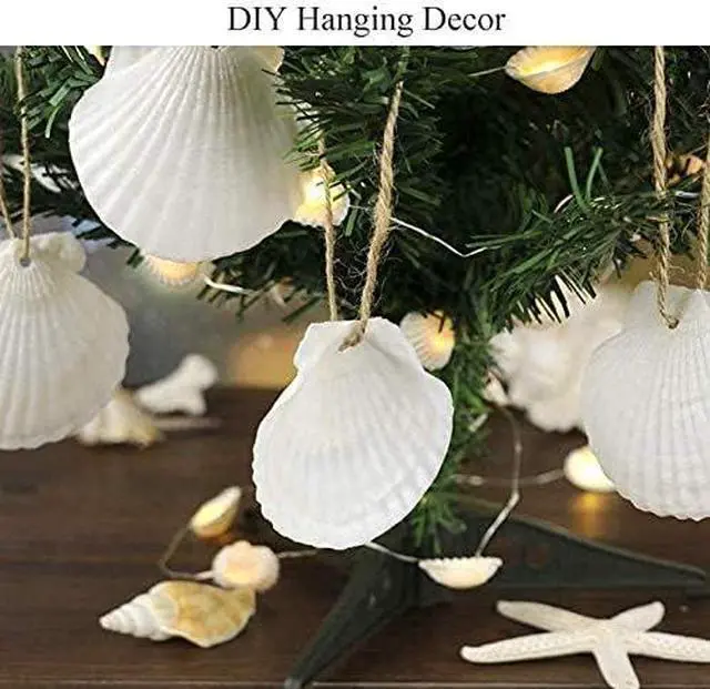 Alt view image 7 of 7 - SEAJIAYI 30 PCS Scallop Shells 2-3 Inch Natural White Sea Shells from Sea Beach for DIY Craft Home Décor(6-8 cm)