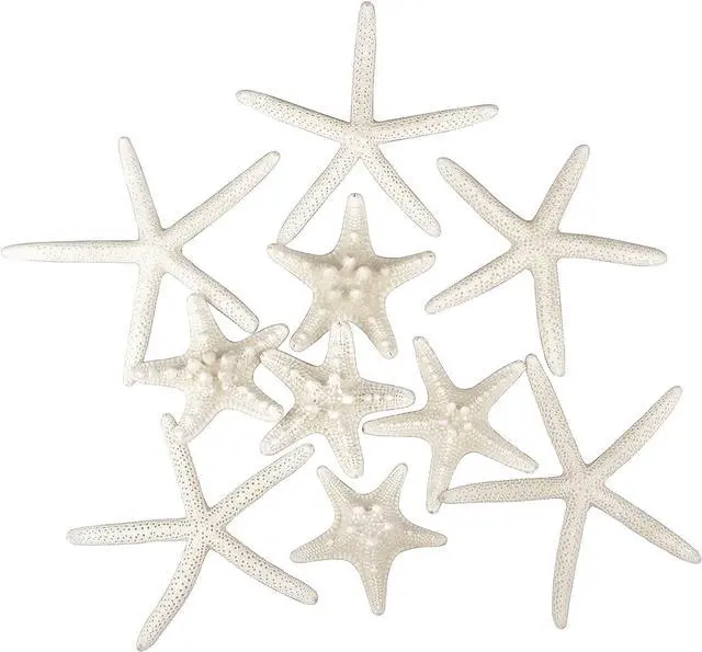 Main image of Jangostor 12 PCS Starfish 2-6 Inch Mixed Starfish Natural Seashells Starfish Star Fish Shells Decorations Perfect for Wedding Decor Beach Theme Party, Home Decorations, DIY Crafts, Fish Tank