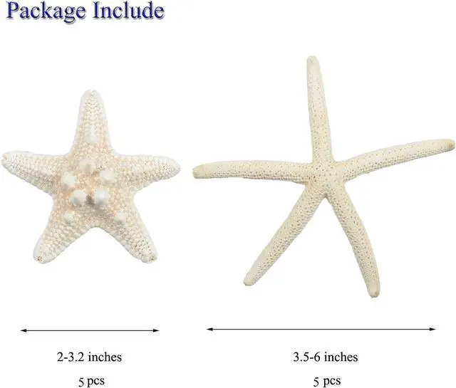 Alt view image 2 of 7 - Jangostor 12 PCS Starfish 2-6 Inch Mixed Starfish Natural Seashells Starfish Star Fish Shells Decorations Perfect for Wedding Decor Beach Theme Party, Home Decorations, DIY Crafts, Fish Tank