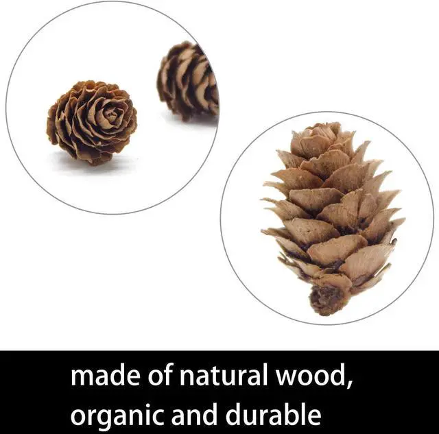 Alt view image 2 of 7 - 150 Pcs Christmas Natural Mini Pine Cones - Thanksgiving Small Pinecone