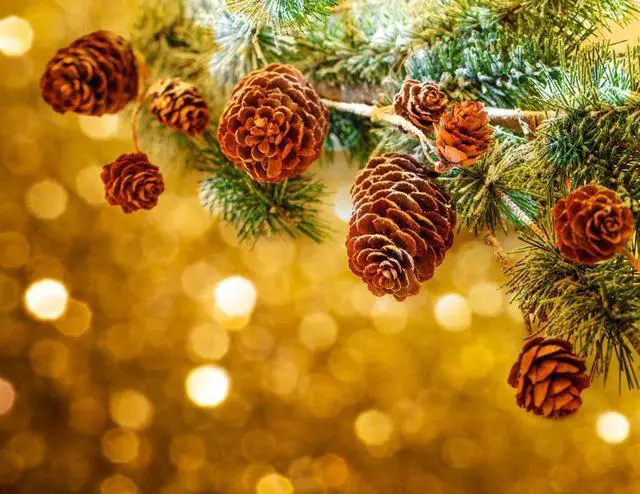 Alt view image 5 of 7 - 150 Pcs Christmas Natural Mini Pine Cones - Thanksgiving Small Pinecone
