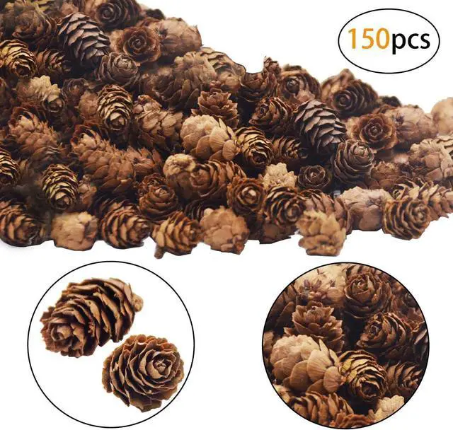 Alt view image 7 of 7 - 150 Pcs Christmas Natural Mini Pine Cones - Thanksgiving Small Pinecone