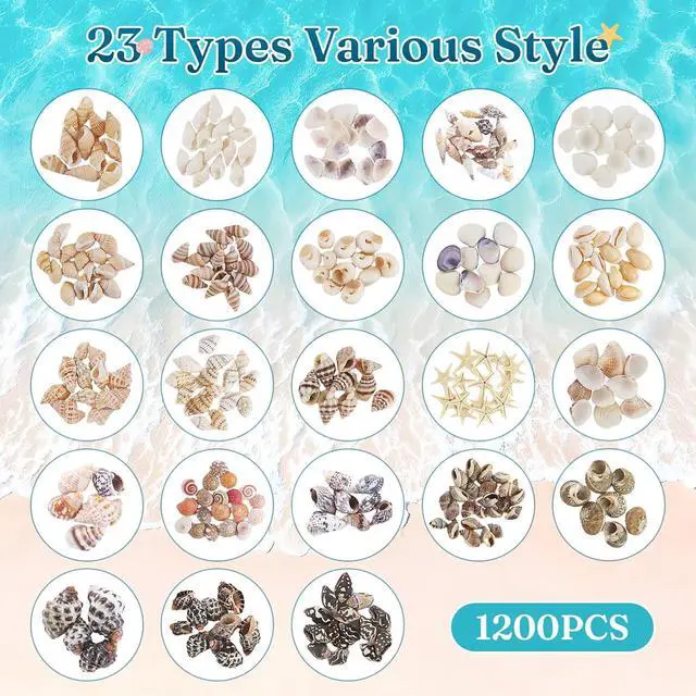 Alt view image 2 of 6 - Zefy 23 Types Small Sea Shells for Crafts, 1200 Pcs Tiny Seashells