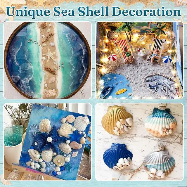 Alt view image 4 of 6 - Zefy 23 Types Small Sea Shells for Crafts, 1200 Pcs Tiny Seashells