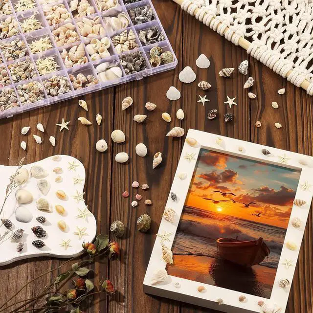 Alt view image 5 of 6 - Zefy 23 Types Small Sea Shells for Crafts, 1200 Pcs Tiny Seashells
