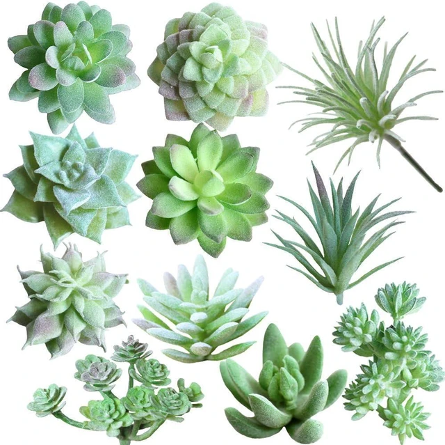 Main image of Supla 11 Pcs Mini Artificial Succulents Picks Unpotted Faux Succulent Assortment in Flocked Green in Different Type Different Size Succulents Echeveria Agave Floral Arrangement Mother Day' s Gift