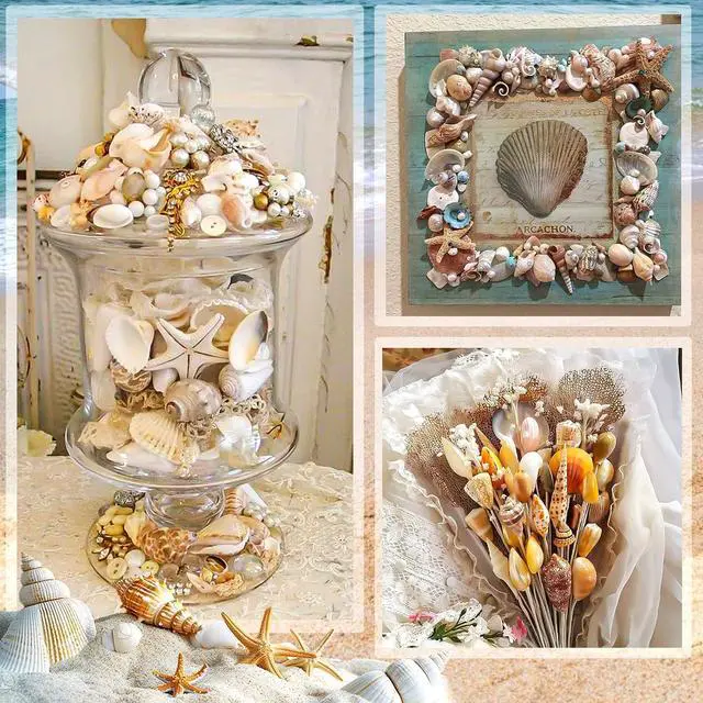 Alt view image 6 of 7 - Mixed Ocean Seashells Set, 15 Kinds Natural Seashell & Starfish