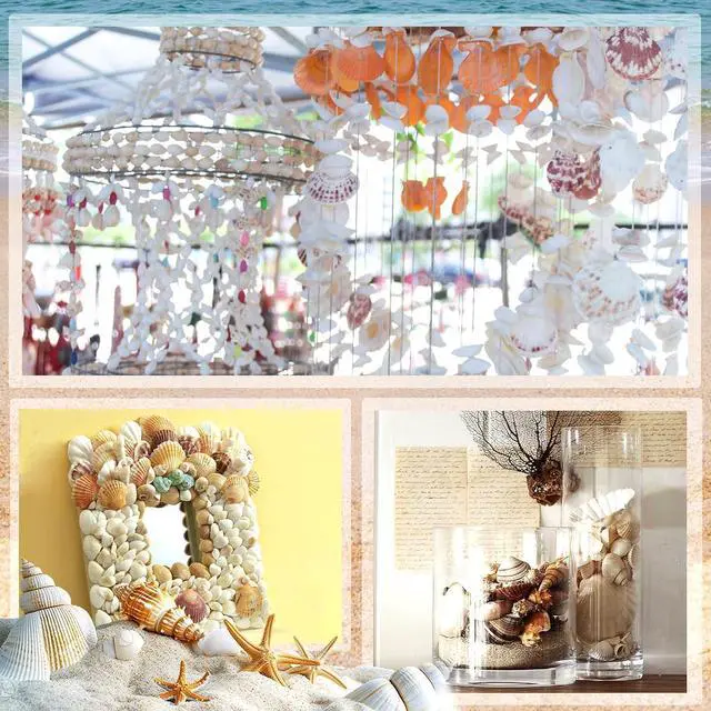 Alt view image 7 of 7 - Mixed Ocean Seashells Set, 15 Kinds Natural Seashell & Starfish