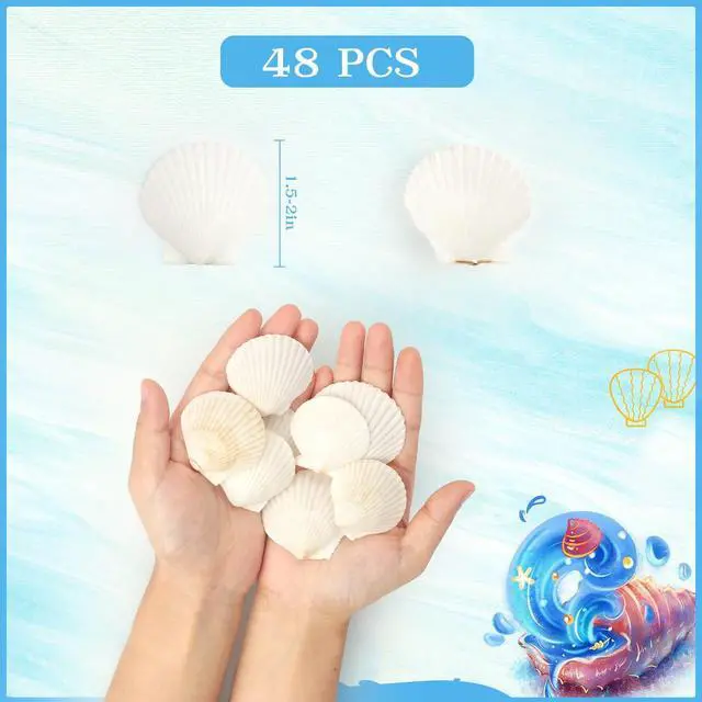 Alt view image 2 of 7 - Jangostor 48 PCS Scallop Shells Natural Seashell, 1.5" to 2" White Scallop Shells Small Seashells for Crafts Wedding Decor Beach Theme Party, Fish Tank and Vase Filler