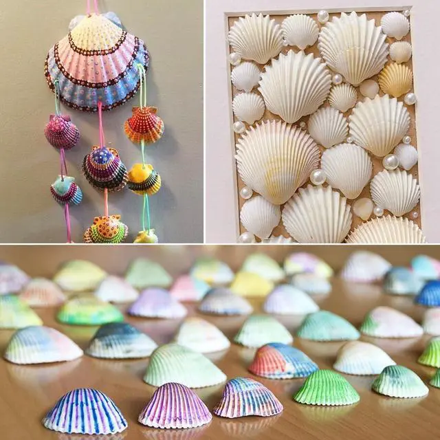 Alt view image 4 of 7 - Jangostor 48 PCS Scallop Shells Natural Seashell, 1.5" to 2" White Scallop Shells Small Seashells for Crafts Wedding Decor Beach Theme Party, Fish Tank and Vase Filler