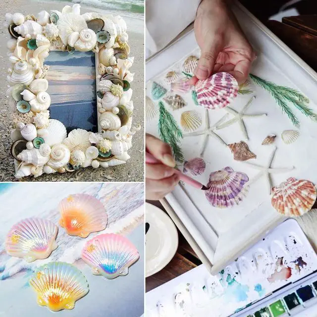 Alt view image 6 of 7 - Jangostor 48 PCS Scallop Shells Natural Seashell, 1.5" to 2" White Scallop Shells Small Seashells for Crafts Wedding Decor Beach Theme Party, Fish Tank and Vase Filler