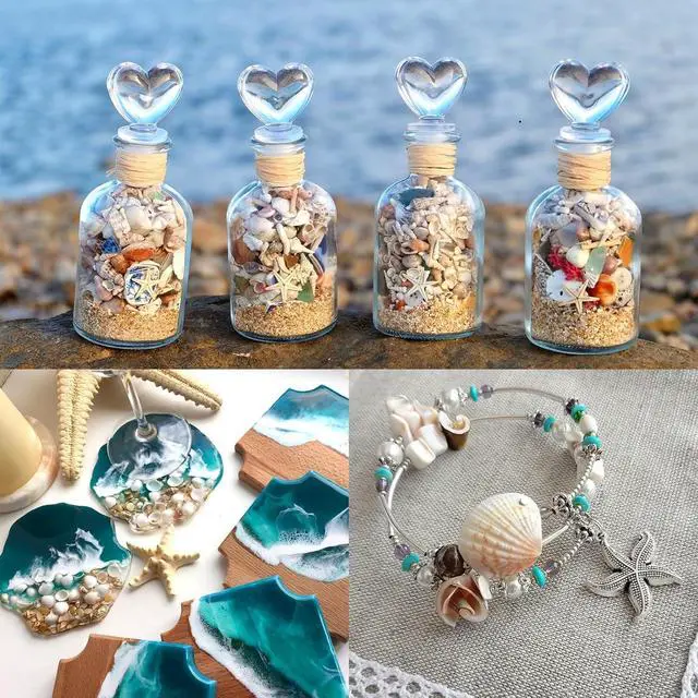 Alt view image 7 of 7 - Tiny Sea Shells & 6 Starfish for Crafts, Natural Mixed Mini Shells