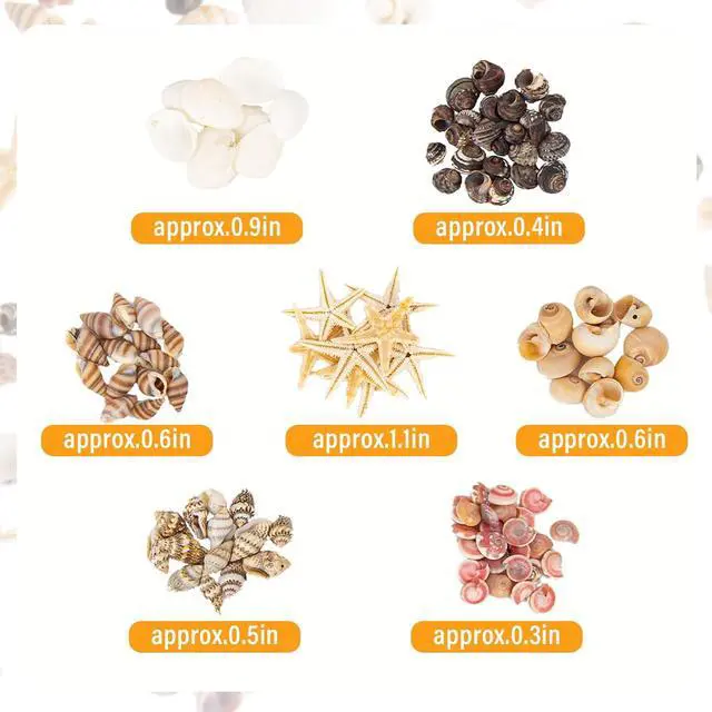 Alt view image 5 of 7 - JQAQJU 1000 PCS Tiny Sea Shells & Small Starfish Mixed Shells for Crafts