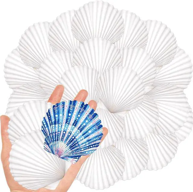 Main image of 20Pcs 2-3 Inch Scallop Shells for Crafts