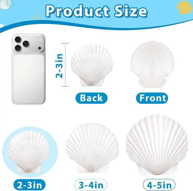 Alt view image 5 of 7 - 20Pcs 2-3 Inch Scallop Shells for Crafts