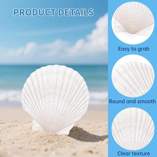 Alt view image 3 of 7 - 36PCS Natural Scallop Shells for Crafts, 2-3 in White Seashells for Paint