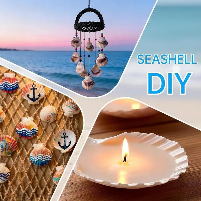 Alt view image 6 of 7 - 36PCS Natural Scallop Shells for Crafts, 2-3 in White Seashells for Paint
