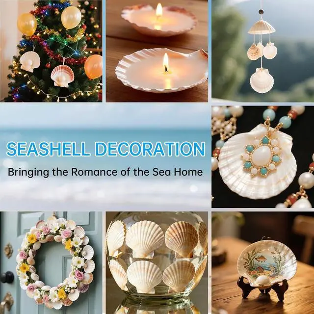 Alt view image 7 of 7 - 36PCS Natural Scallop Shells for Crafts, 2-3 in White Seashells for Paint