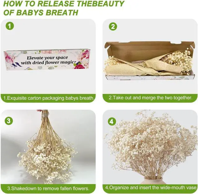 Alt view image 4 of 6 - 2500+ Dried Babys Breath Flowers Bulk, 17'' Ivory White Gypsophila Bouquet