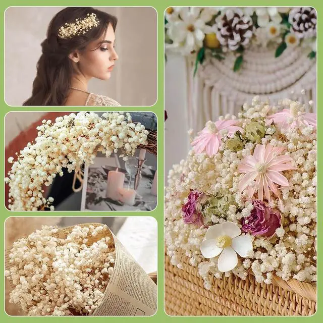 Alt view image 6 of 6 - 2500+ Dried Babys Breath Flowers Bulk, 17'' Ivory White Gypsophila Bouquet