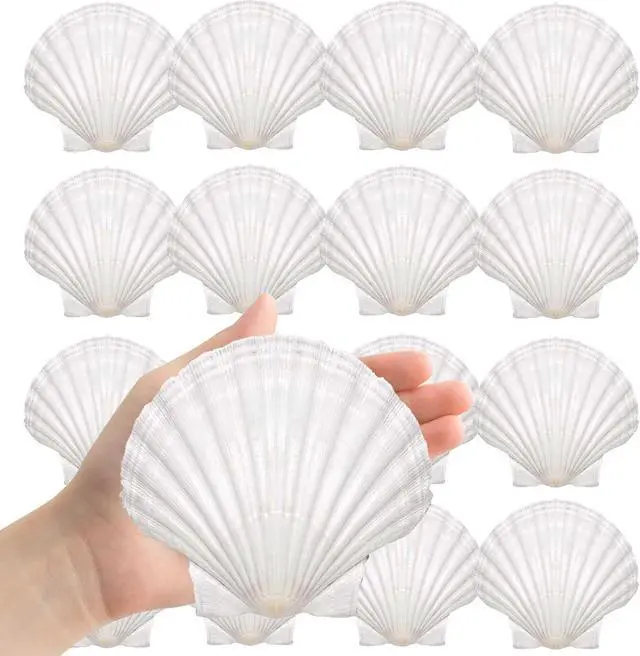 Main image of Large Natural Sea Shells 4''-5'' White Scallop Shells 8PCS for DIY Craft Making, Baking, Hand Painting, Ocean Themed Party and Home Decor