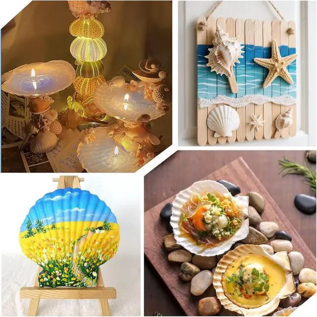 Alt view image 6 of 7 - Large Natural Sea Shells 4''-5'' White Scallop Shells 8PCS for DIY Craft Making, Baking, Hand Painting, Ocean Themed Party and Home Decor