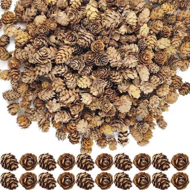 Main image of TIHOOD 160PCS 1.18"-1.97" Christmas Natural Mini Pine Cones-Thanksgiving Pine Cones Ornaments for DIY Crafts, Home Decorations,Fall and Christmas,Wedding Decor
