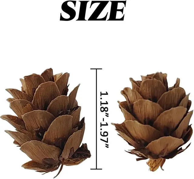 Alt view image 2 of 5 - TIHOOD 160PCS 1.18"-1.97" Christmas Natural Mini Pine Cones-Thanksgiving Pine Cones Ornaments for DIY Crafts, Home Decorations,Fall and Christmas,Wedding Decor
